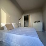 Huur 1 slaapkamer appartement van 75 m² in Torhout