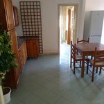 Affitto 3 camera appartamento di 130 m² in Caltanissetta