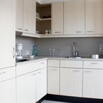 Rent 1 bedroom apartment of 63 m² in Sliedrecht