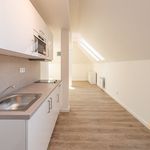 Rent 1 bedroom apartment of 49 m² in Prague