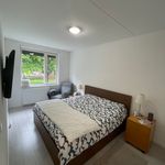 Huur 5 slaapkamer huis van 160 m² in Eindhoven