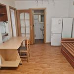 Rent 2 bedroom apartment of 36 m² in Znojmo