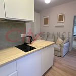 Rent 1 bedroom apartment in VERSAILLES