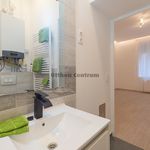 Rent 3 bedroom house of 95 m² in Budapest