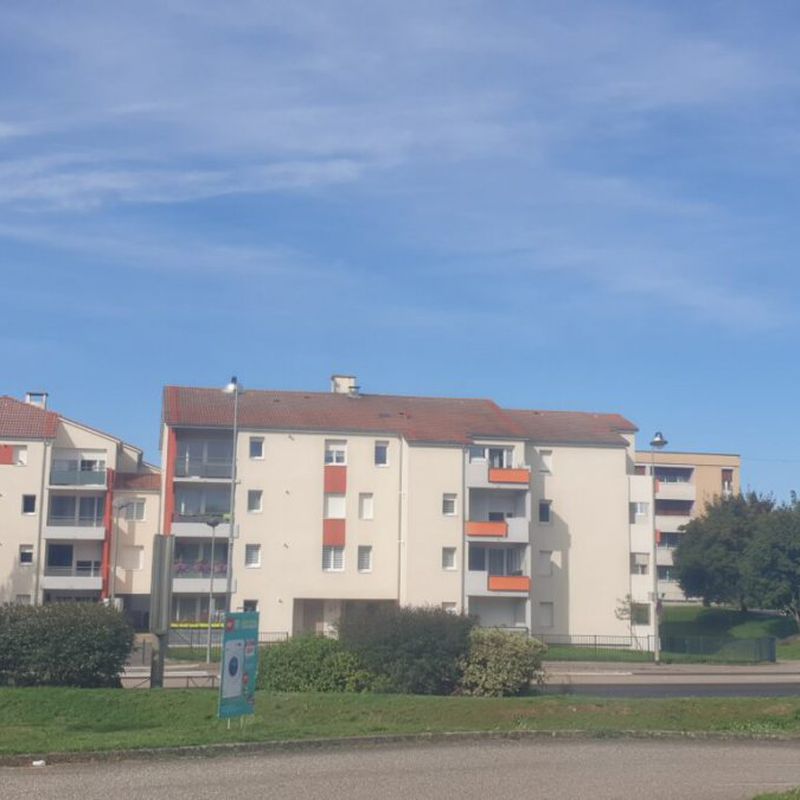 ▷ Appartement à louer • Saint-Avold • 54 m² • 425 € | immoRegion