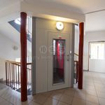 Rent 2 bedroom apartment of 50 m² in Hořice