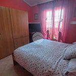 Rent 1 bedroom house of 100 m² in Anzio