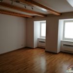 Rent 1 bedroom apartment of 35 m² in Retz