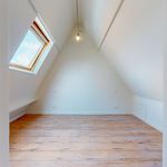 Rent 3 bedroom apartment of 140 m² in Antwerpen
