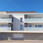 Rent 3 bedroom apartment of 64 m² in Pfastatt