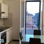 Rent 2 bedroom apartment of 50 m² in Bologna
