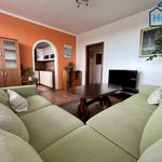 Rent 2 bedroom apartment of 45 m² in Ostrava