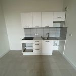 Rent 2 bedroom apartment of 58 m² in Roubaix