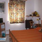 Affitto 1 camera appartamento di 65 m² in Orbetello