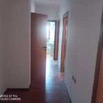 Rent 3 bedroom apartment of 90 m² in Lanciano