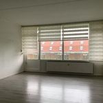 Rent 4 bedroom apartment of 90 m² in Maassluis