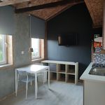 Alugar 1 quarto casa de 30 m² em Porto