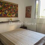 Affitto 3 camera appartamento di 109 m² in Pietrasanta