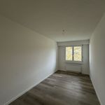 Miete 4 Schlafzimmer wohnung in Strengelbach