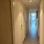 Rent 2 bedroom apartment of 105 m² in Brugge
