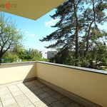 Rent 4 bedroom apartment of 105 m² in Brno