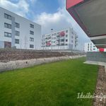 Rent 2 bedroom apartment of 45 m² in Hořovice