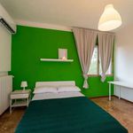 Rent a room in Firenze