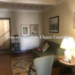 Affitto 1 camera appartamento di 40 m² in Arezzo