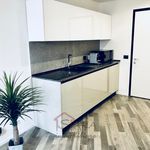 Rent 1 bedroom apartment of 35 m² in Padova