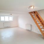 Rent 1 bedroom apartment of 45 m² in Namur