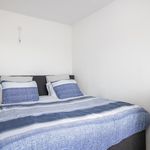 Rent 1 bedroom apartment of 48 m² in SCHIEDAM
