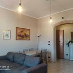Rent 1 bedroom apartment of 60 m² in Livorno