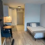 Rent 1 bedroom apartment of 33 m² in Łódź