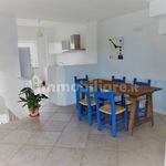 Rent 2 bedroom apartment of 120 m² in Olbia