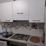 Rent 2 bedroom apartment of 60 m² in Fiuggi