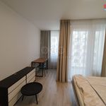 Rent 1 bedroom apartment of 33 m² in Hlubočepy