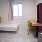 Rent 1 bedroom apartment of 21 m² in Sevilla