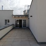 Rent 3 bedroom apartment of 118 m² in Wels