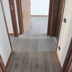 Rent 3 bedroom apartment of 110 m² in Lissone