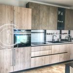 Rent 5 bedroom apartment of 180 m² in Arzachena
