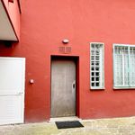 Affitto 8 camera casa di 300 m² in Roma