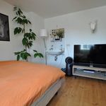 Rent 5 bedroom house of 126 m² in Eindhoven