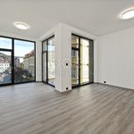 Rent 1 bedroom apartment of 41 m² in Děčín