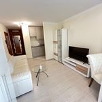 Rent 1 bedroom apartment of 36 m² in Erlangen