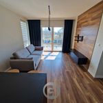 Rent 2 bedroom apartment of 53 m² in Gorzów Wielkopolski