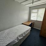 Rent 1 bedroom student apartment in Hatfield