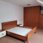 Rent 1 bedroom apartment of 150 m² in Pardubice