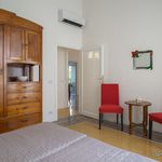 Rent 2 bedroom apartment of 130 m² in Florence