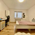 Wynajmij 7 sypialnię dom z 320 m² w Trzebiatów