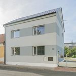 Rent 1 bedroom house of 165 m² in Město Touškov